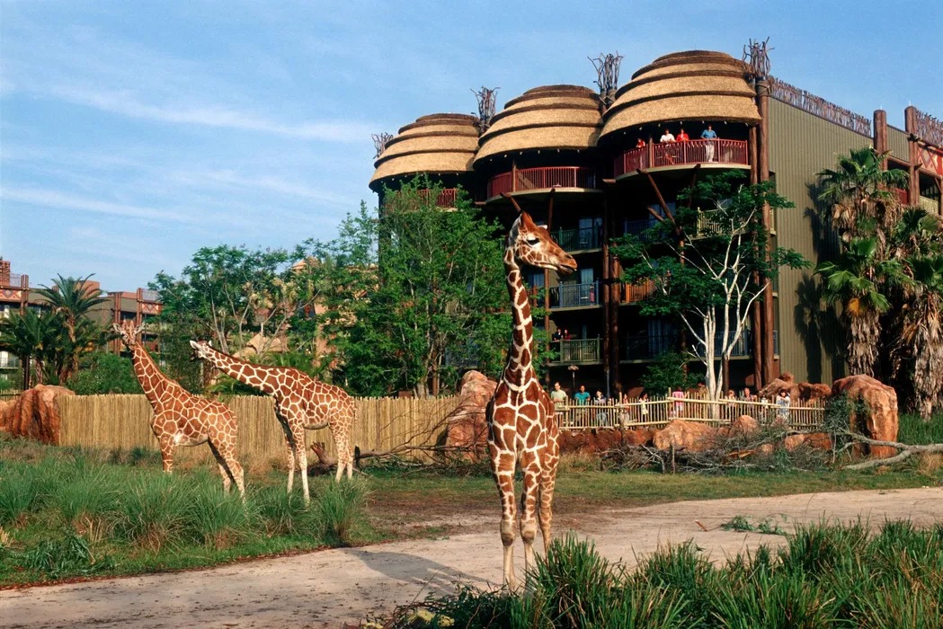 Disney Orlando